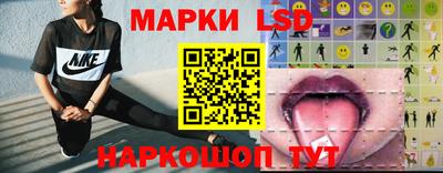гидра Кузнецк