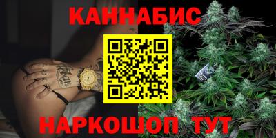 гидра Кузнецк